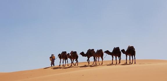 Пользователям Google maps не дает покоя загадочный «Глаз Сахары»