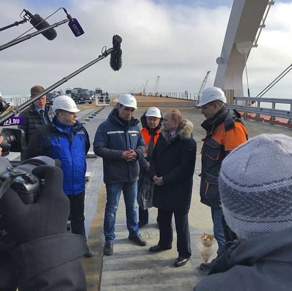 Кот Мостик сфотографировался на Крымском мосту рядом с Путиным