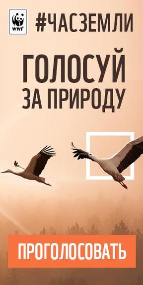 «Час Земли» пробил и в Волжском