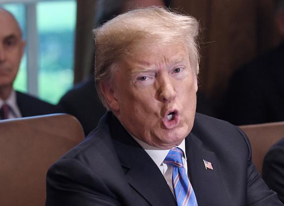 Трамп: обвинения о "вмешательстве" России в выборы являются большой выдумкой