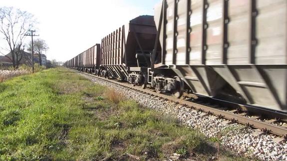 Товарный поезд сбил двух человек в Подмосковье