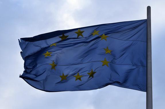 Заявление Федерики Могерини по Грузии удивило наших дипломатов