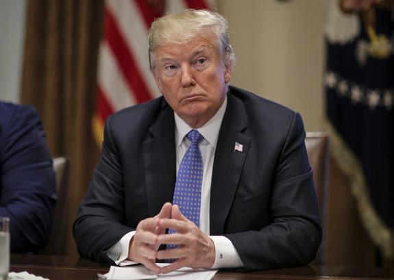 На голливудской Аллее славы появилось 50 звезд Трампа