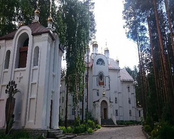 Стало известно, зачем Наталья Поклонская четыре года назад ездила в Екатеринбург