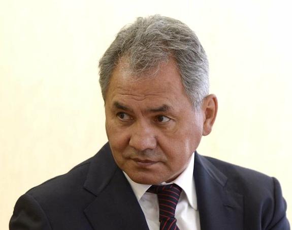 Шойгу: ЦАР является перспективным партнером России в Африке