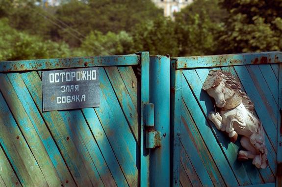 Суд оправдал собаку, покусавшую незваного гостя