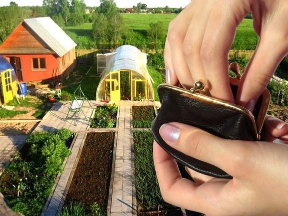 Дачники изучают искусство аэромаскировки