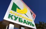 Почему «двоечники» цепляются за власть?