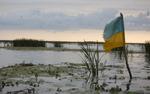 Два города на Украине остались без водоснабжения из-за отравленной реки