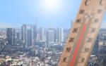 «Бабье лето» пришло в Москву раньше времени