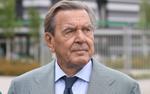 Герхард Шредер раскритиковал предложение "Транснефти"