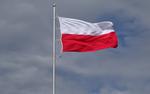 В Госдуме прокомментировали заявление властей Польши о России и Второй мировой войне