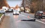 Следственный эксперимент в Нижнем стоил жизни мотоциклисту