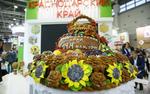 Кубанский урожай на «Золотой осени»