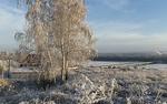 Под Петербургом в городе Колпино   мужчина нашел  останки  маленького ребенка