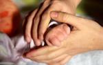 8 сотрудниц американского роддома одновременно узнали о своем "интересном положении"