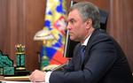 Володин оказал поддержку расширению эксперимента по самозанятым