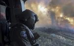 В Австралии уточнили количество погибших от лесных пожаров животных