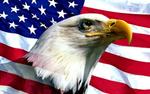 В США могут разрешить давать взятки иностранцам