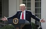 Дональд Трамп «в стране невыученных уроков»