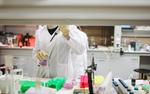 ВОЗ сообщила о начале  первых испытаний вакцины против COVID-19 