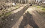 Корреспондент АН дошел до экватора самоизоляции в лесу