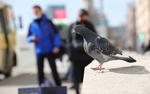 Как южноуральцам получить благотворительную помощь