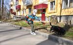 Эпидемиолог назвал условия, которые будут указывать на «конец пандемии»