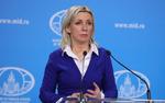 Захарова отреагировала на заявления американцев о коронавирусе в России