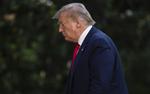 Коронавыборы в США: как Дональду Трампу победить новый вирус и остаться в Белом доме