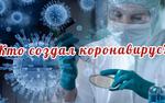 «А что если всё это спланировано?» Возможные создатели коронавируса могут быть виновны и в американских мятежах