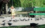 В Краснодарском крае в субботу открываются парки и набережные