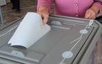 Наблюдатели сообщили, на что россияне жалуются во время голосования по поправкам к Конституции