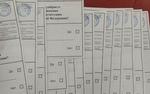Обратная сторона голосования. Очень подозрительные галочки