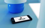 Эксперт считает, что реакция США на работу соцсети TikTok больше похожа на охоту на ведьм
