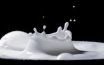 Журналисты из Китая развенчали распространенные мифы о молоке