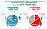 Нижегородская область находится в демографической яме