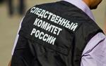 В Петербурге подросток с оружием ночью напал на мать, отца и 6-летнего ребенка