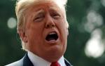  Без вины виноватый: от Трампа отворачиваются практически все, но за что?