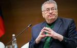 Жириновский считает, что школьные повара лично должны отвечать за качество еды