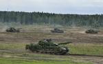 Американский политолог Мотыль: армия России может «вторгнуться» в Эстонию