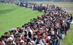 Белый дом не послушался Трампа и теперь обнаружил брешь в миграционной политике