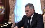 Шойгу привлек к ответственности должностных лиц, отправивших роту почетного караула на венчание Романовых в Петербург 