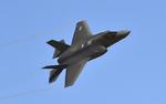 Avia.pro: системы РЭБ «Мурманск-БН» атакуют американские F-35 при их приближении к западным границам России
