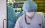 В России число случаев заражения омикрон-штаммом увеличилось до 25 