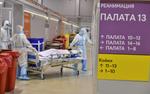 Гинцбург: в ковидных клиниках практически нет тяжелых больных с омикрон-штаммом, привитых «Спутником»
