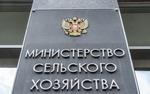 Владислав Мурашов возглавит министерство сельского хозяйства в Московской области  