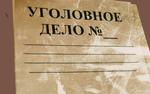В Латвии возбуждают уголовные дела за поддержку России