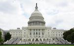 В США член палаты представителей Марси Каптур призвала «все страны» мира не покупать никакие российские энергоресурсы