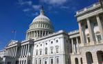 Политолог Брутер заявил, что США давно ведут работу по ухудшению отношений Индии и ОАЭ с Россией